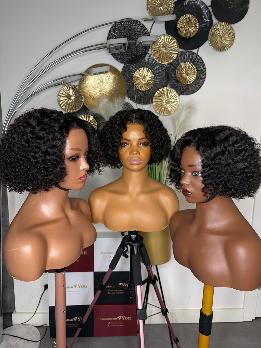 Vietnamese Burmese Curls