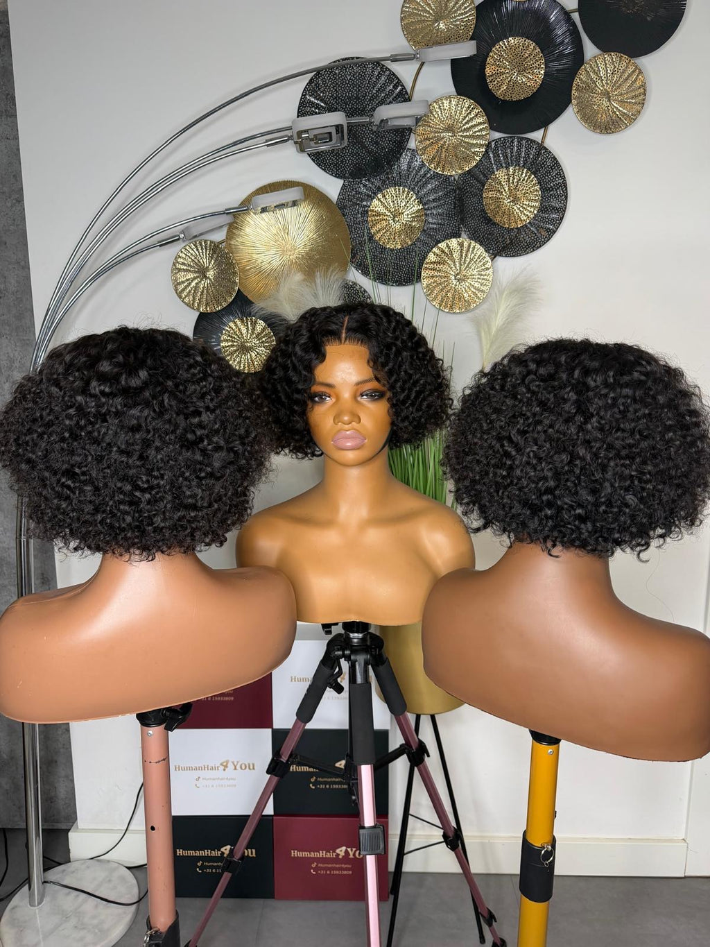 Vietnamese Burmese Curls